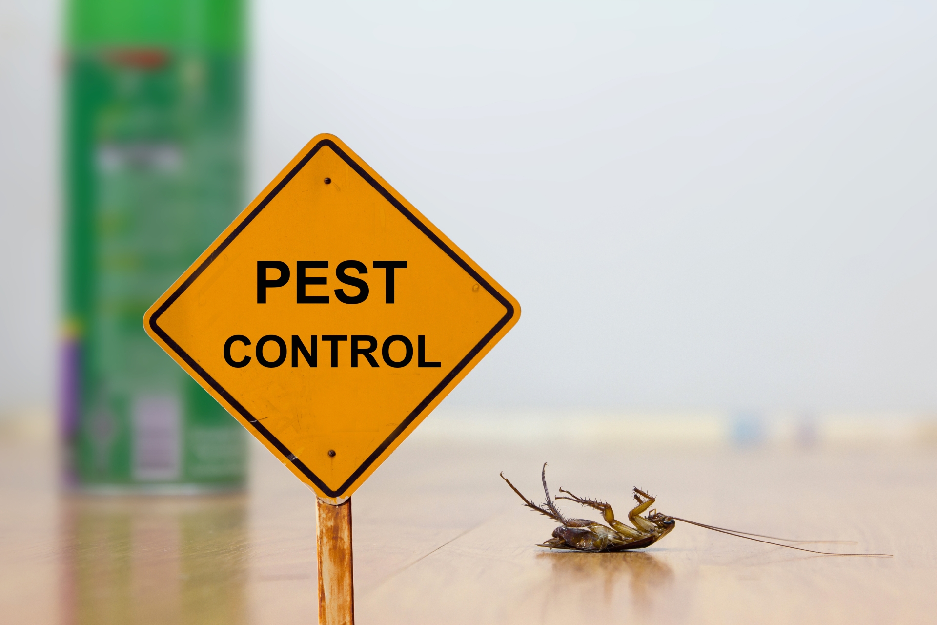 24 Hour Pest Control, Pest Control in South Kensington, SW7. Call Now 020 8166 9746
